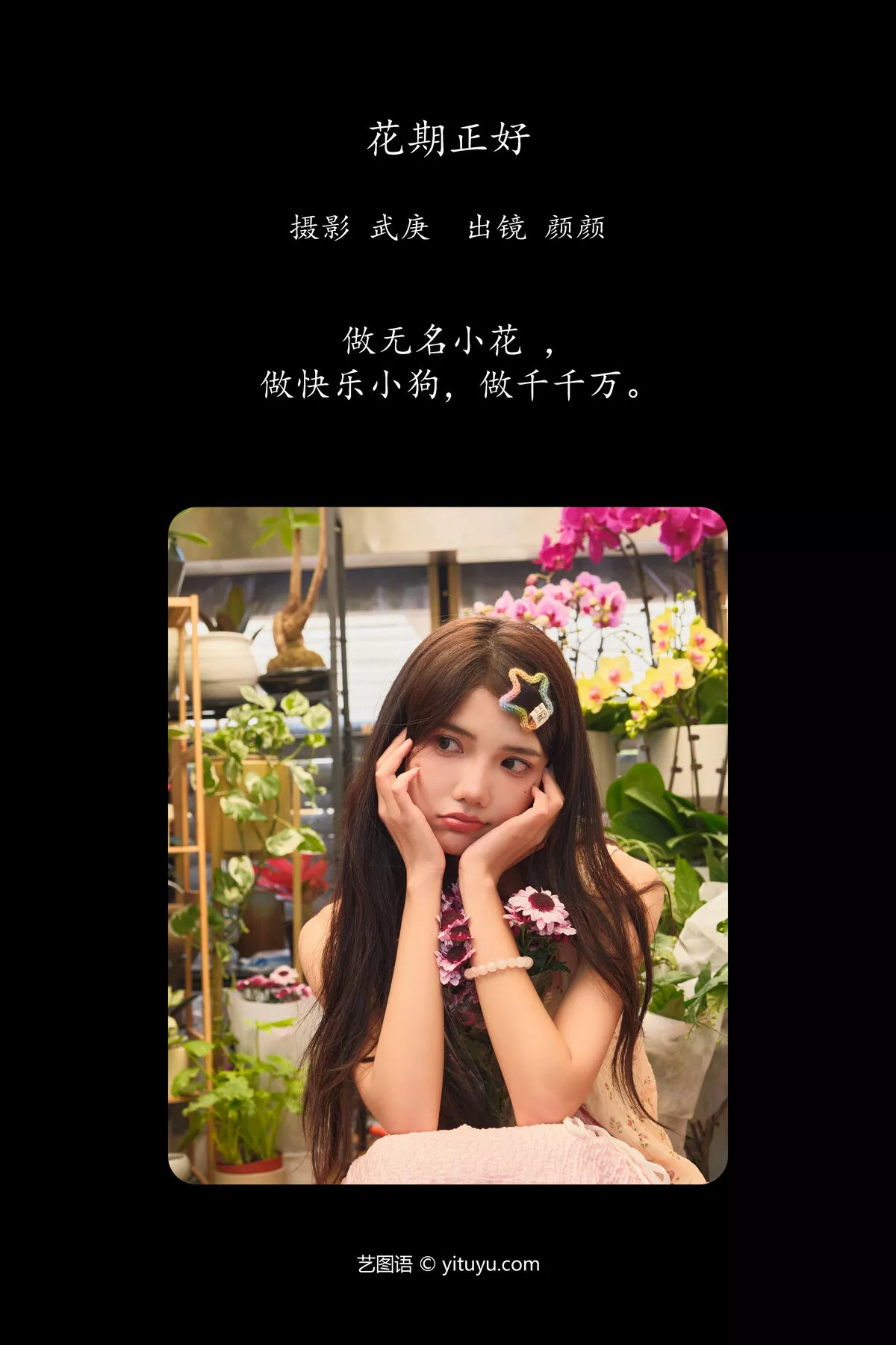 No.8021 Mi Duo Domy YiTuYu艺图语 P.6