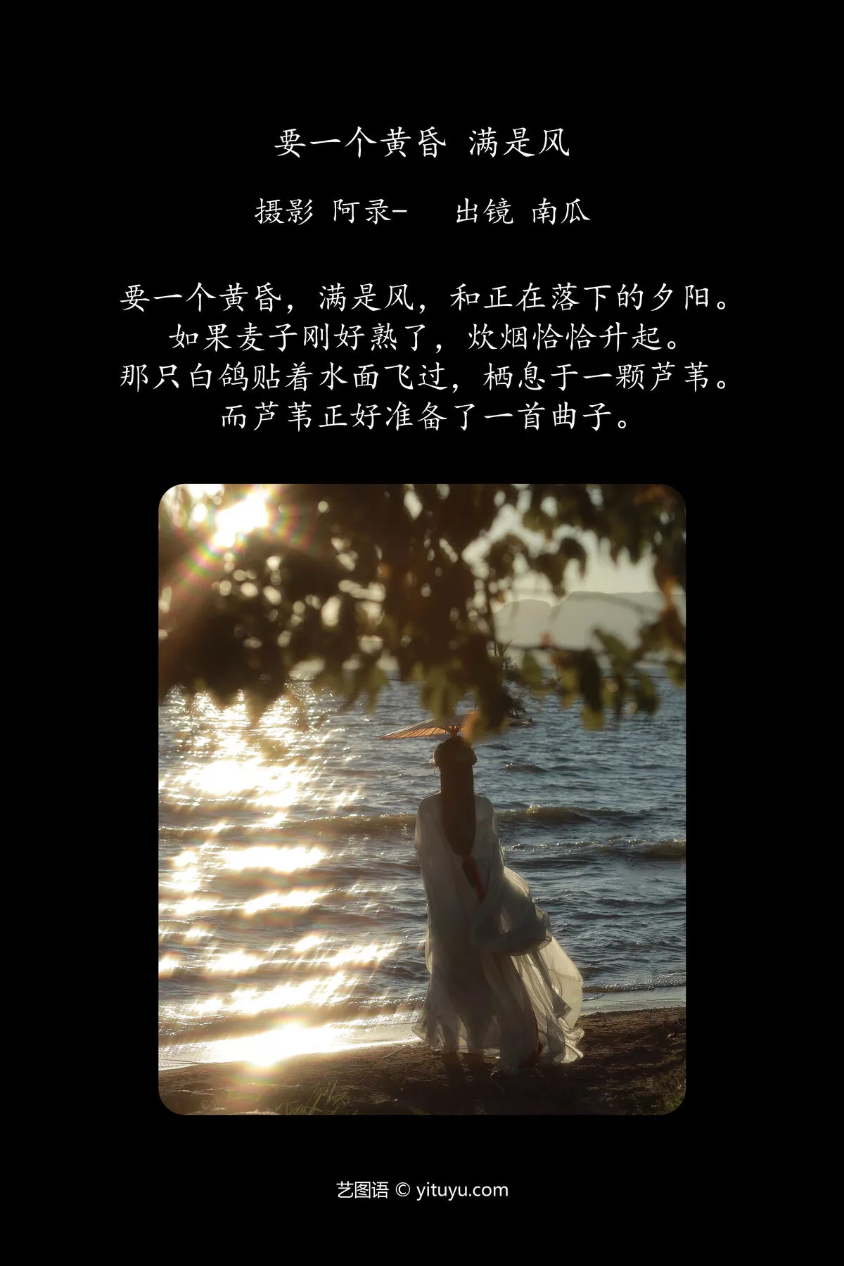 No.8084 YiTuYu艺图语 南瓜 P.3
