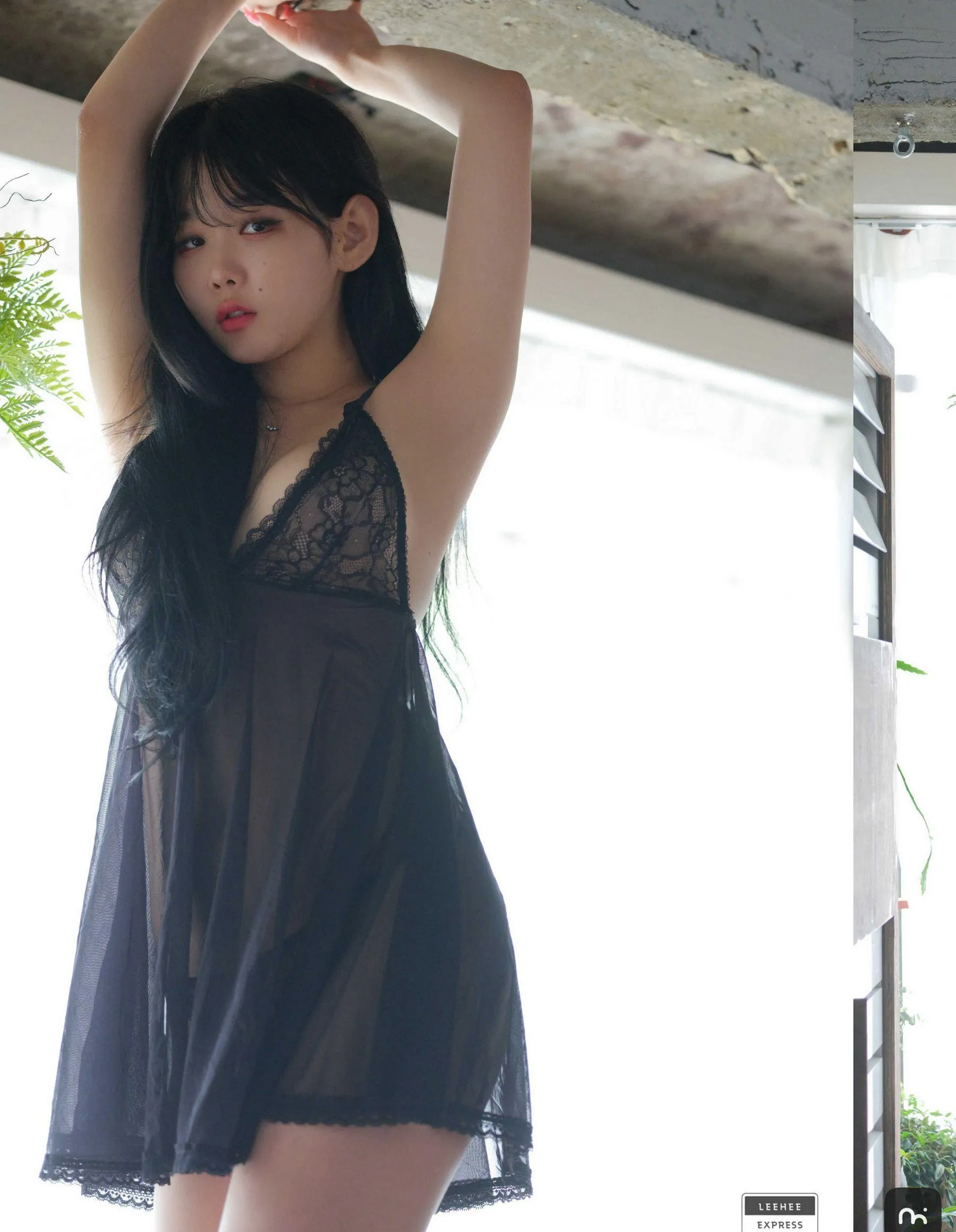【Leehee No.481 211B Express】 Zia LEHF P.3