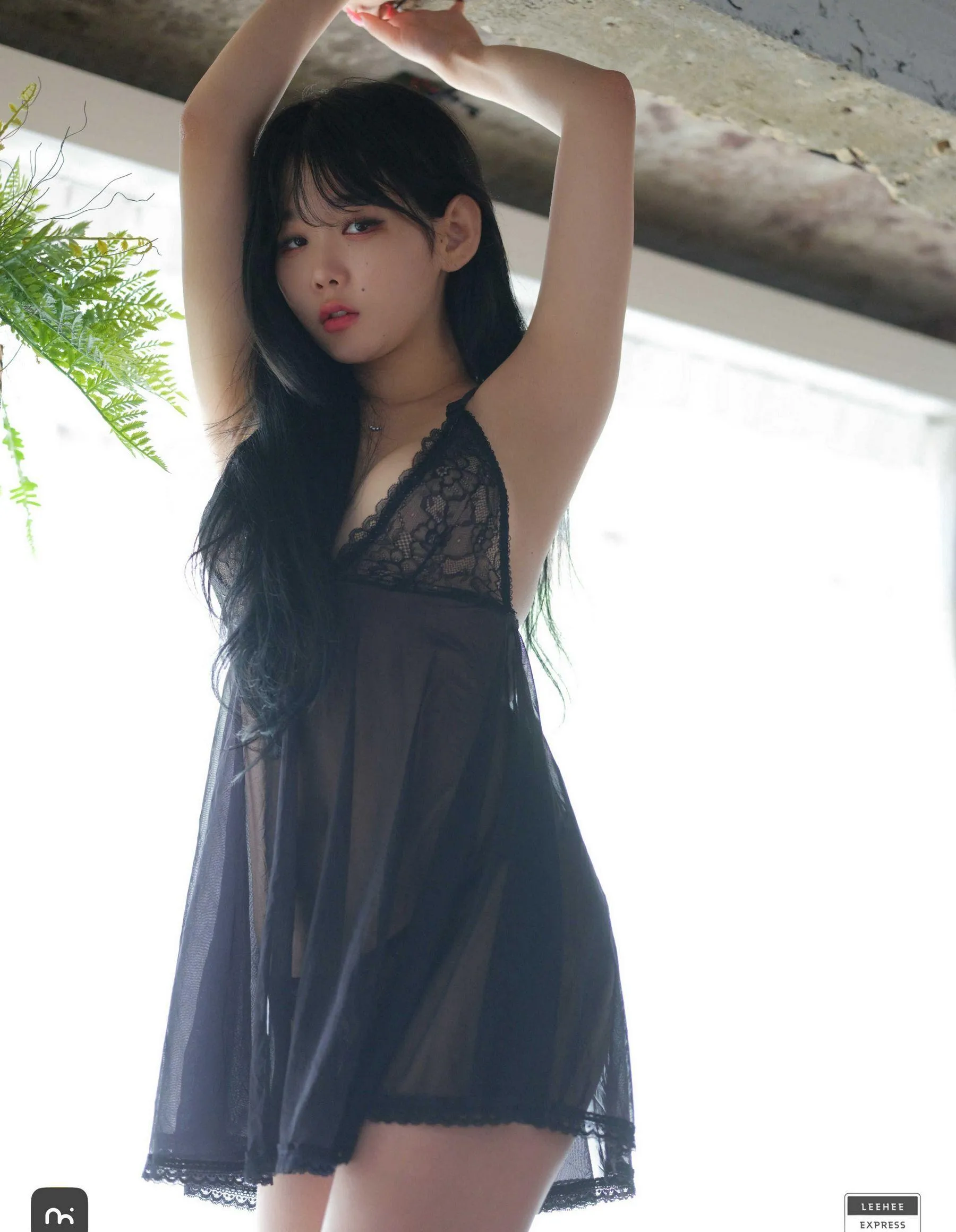 Express】 Zia LEHF No.481 【Leehee 211B P.4