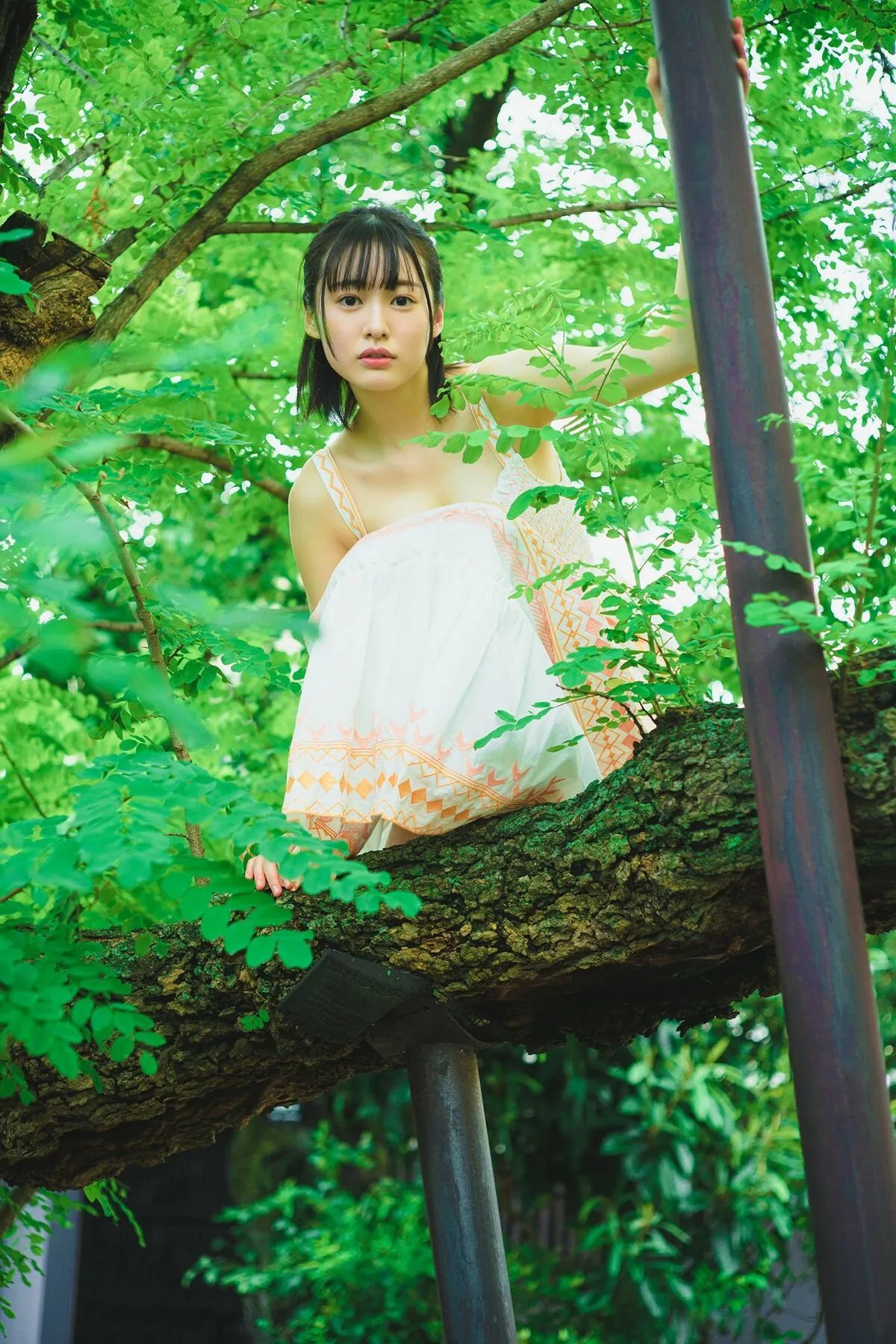 Miu 鸟取が生んだ超逸材 Shirahama 日本写真 (70P) 白滨美 P.2