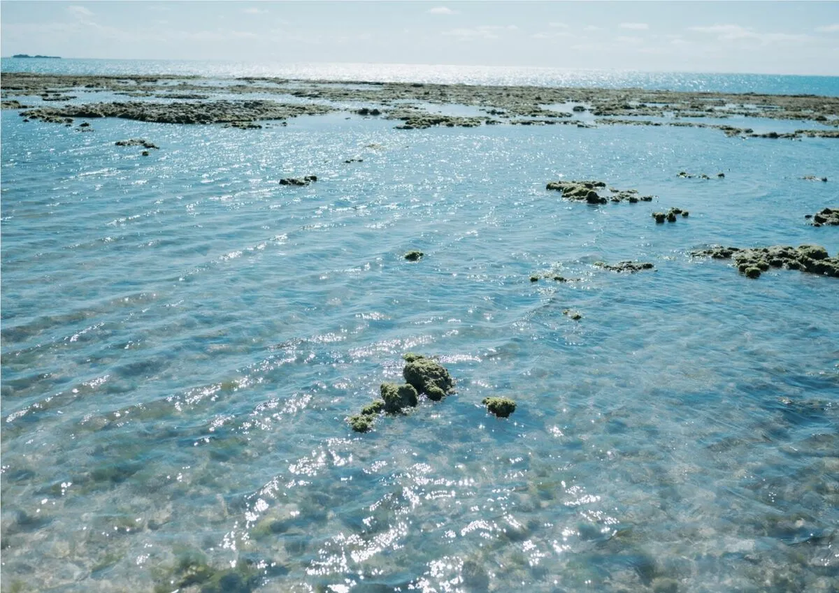 こっちにきてWunder book House Kipikodayo Publishing 全集修正 Part E 九十九ぱて 日本写真 1st P.4