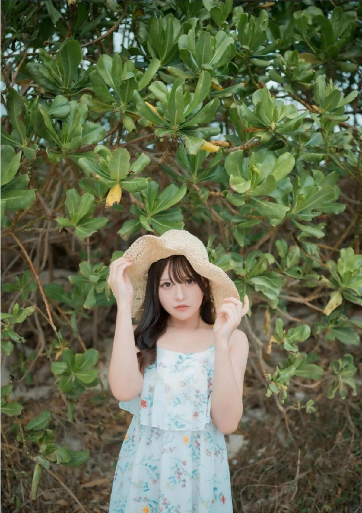 Kipikodayo House 全集修正 Publishing Part 1st E 日本写真 こっちにきてWunder book 九十九ぱて P.17