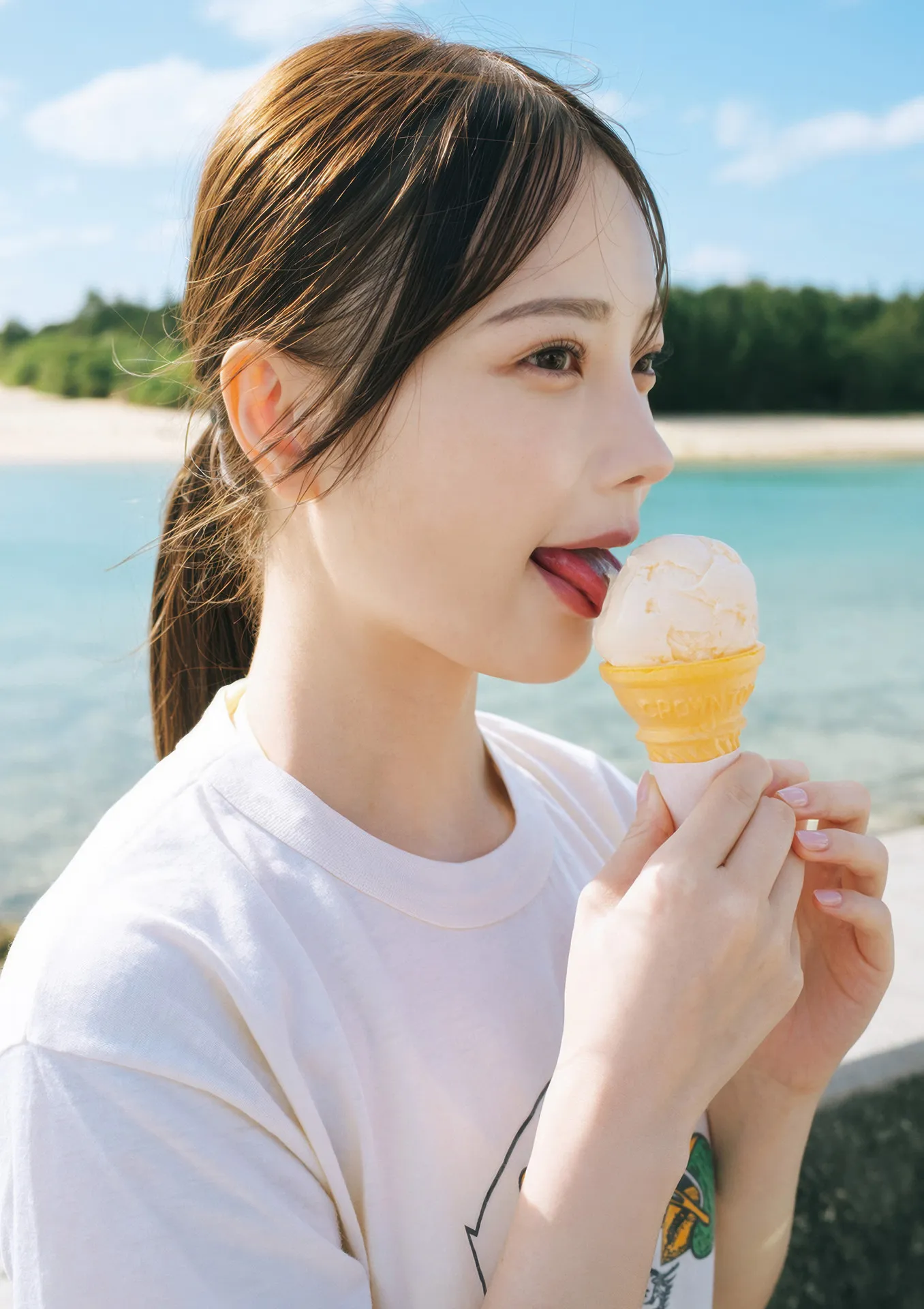 Himeka 日本写真 全集修正 Araya ひめかわいい。 写真集 新谷 P.8
