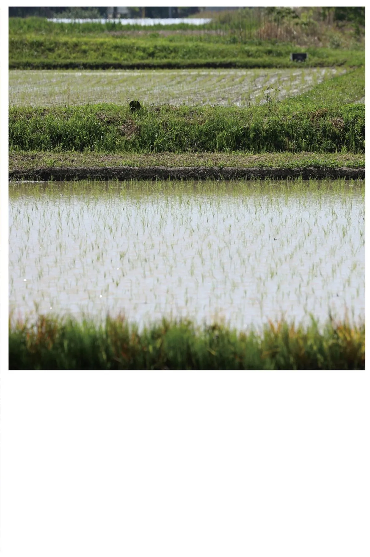 Narumi なるみ 风に包まれて 全集修正 Part 写真集 日本写真 Hirose P.27